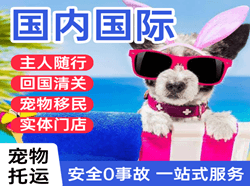 扬州空运国际宠物托运 【国